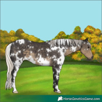 Horse Color:White Spotted Silver Smoky Black