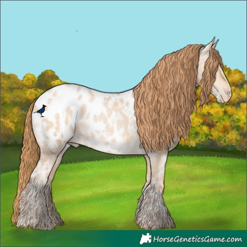 Horse Color:Bay Ice Snowdrop Pearl Dun Near Leopard