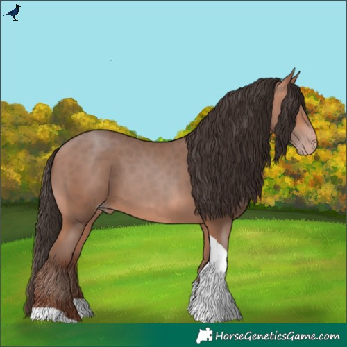 Horse Color:Amber Champagne Tobiano