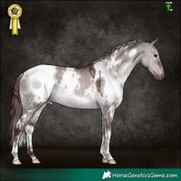 Horse Color:Platinum White Spotted Chocolate Brown Dun 