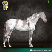 Horse Color:Platinum White Spotted Chocolate Brown Dun 