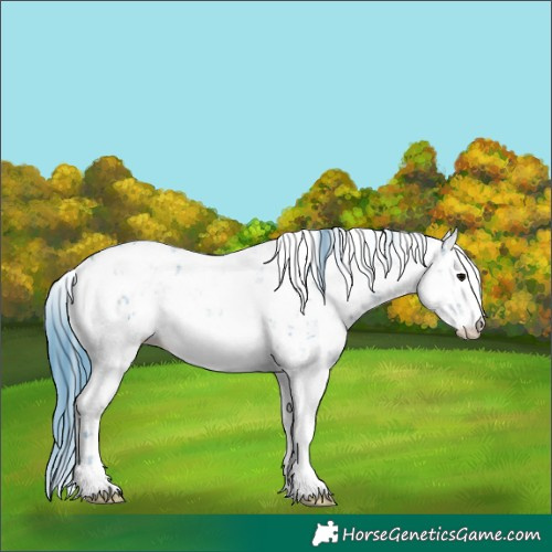 Horse Color:Watercolor Black Sabino Blanket 