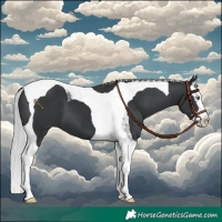 Horse Color:Silver Black Chinchilla Splash Tobiano 