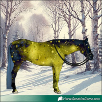 Horse Color:ERROR: UNKNOWN ANOMALY
