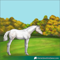 Horse Color:White Spotted Silver Brown Dun Tobiano Varnish