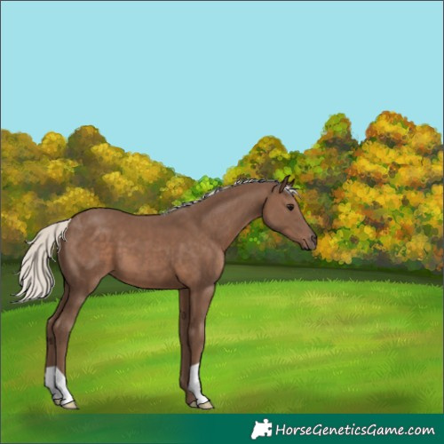 Horse Color:Silver Black 