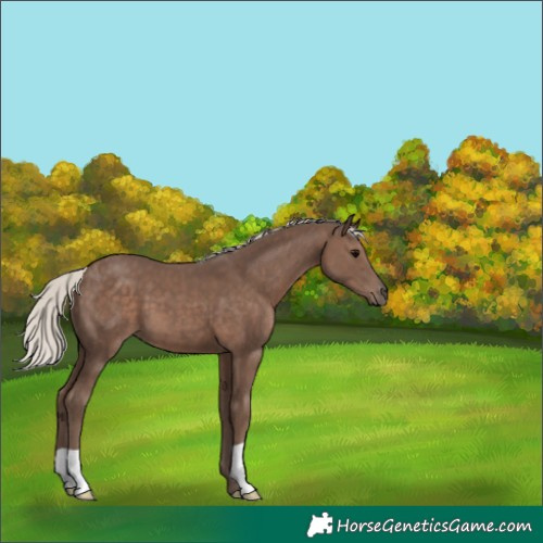 Horse Color:Silver Black 