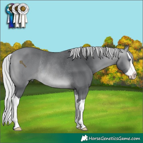 Horse Color:Silver Bay Chinchilla Splash Rabicano 