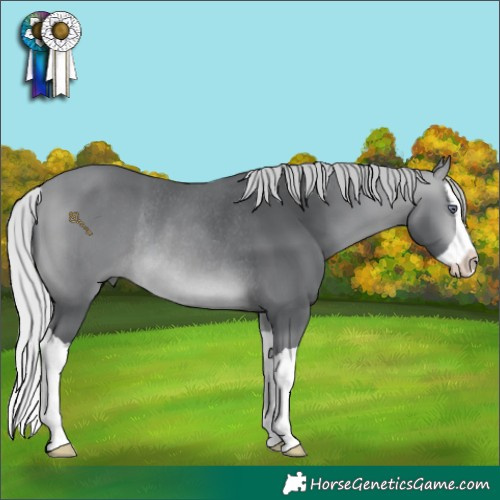 Horse Color:Silver Bay Chinchilla Splash Rabicano 