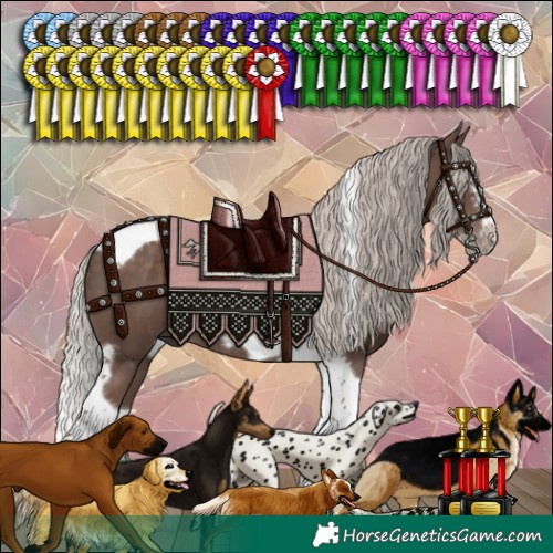 Horse Color:Silver Black Splash Tobiano Frame 