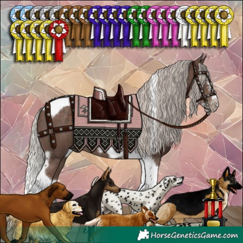 Horse Color:Silver Black Splash Tobiano Frame 