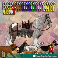 Horse Color:Silver Black Splash Tobiano Frame