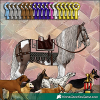 Horse Color:Silver Black Splash Tobiano Frame 