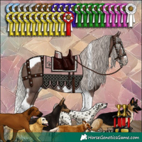 Horse Color:Silver Black Splash Tobiano Frame