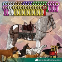 Horse Color:Silver Black Splash Tobiano Frame 