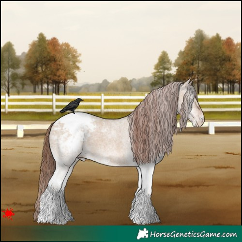 Horse Color:White Spotted Red Dun Varnish 