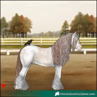 Horse Color:White Spotted Red Dun Varnish 