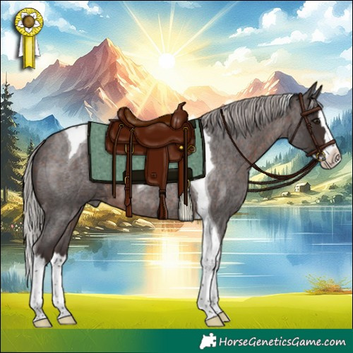 Horse Color:Silver Brown Roan Splash Tobiano 