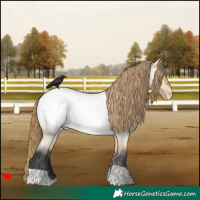 Horse Color:Buckskin Roan Dun Snowcap 