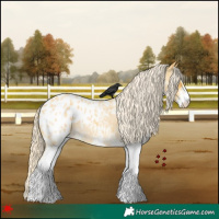 Horse Color:White Spotted Palomino Roan Appaloosa 