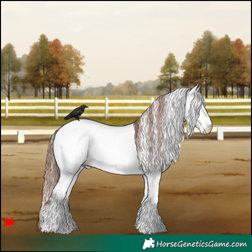 Horse Color:White Spotted Chestnut Fewspot 