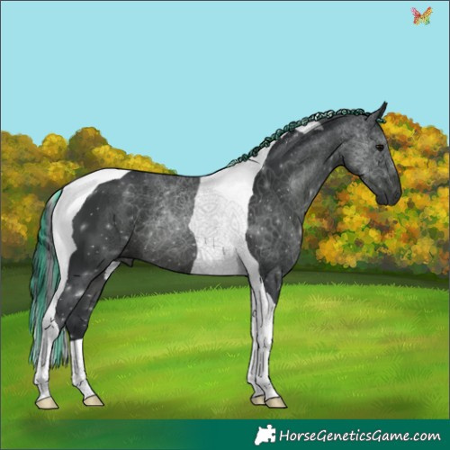 Horse Color:Painted Black Tobiano 