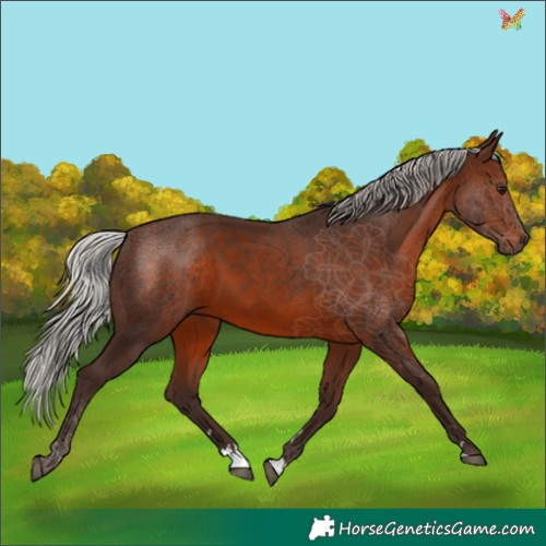 Horse Color:Silver Brown 