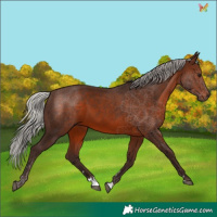 Horse Color:Silver Brown 