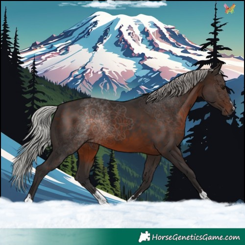 Horse Color:Silver Brown 