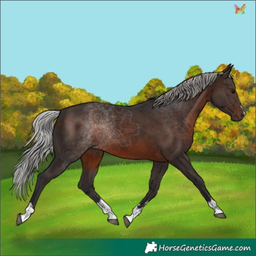 Horse Color:Silver Brown 