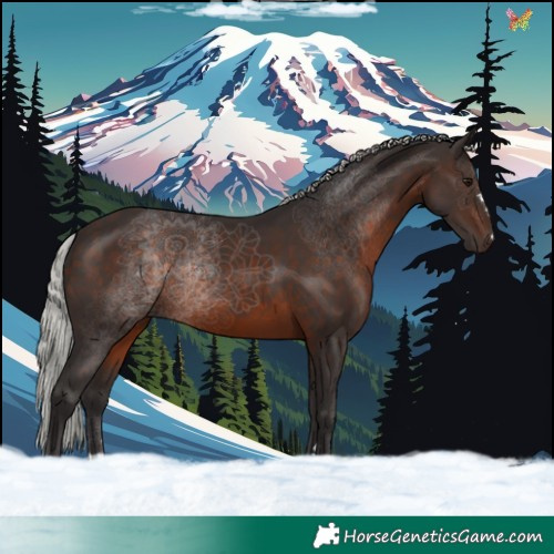 Horse Color:Silver Brown