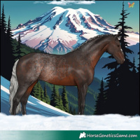 Horse Color:Silver Brown 