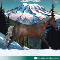Horse Color:Silver Brown 