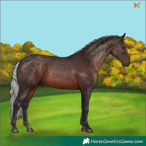 Horse Color:Silver Brown 