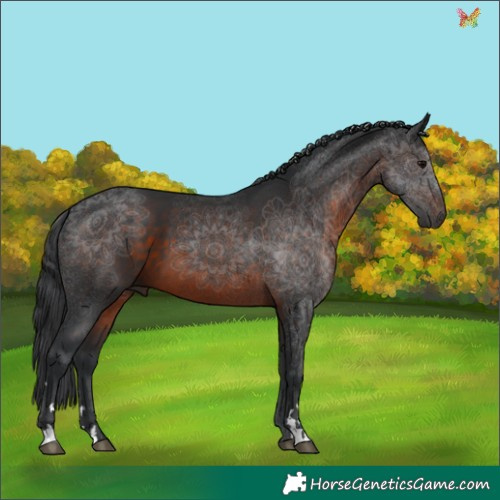 Horse Color:Brown 