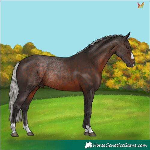 Horse Color:Silver Brown 