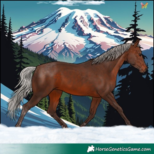 Horse Color:Silver Brown 