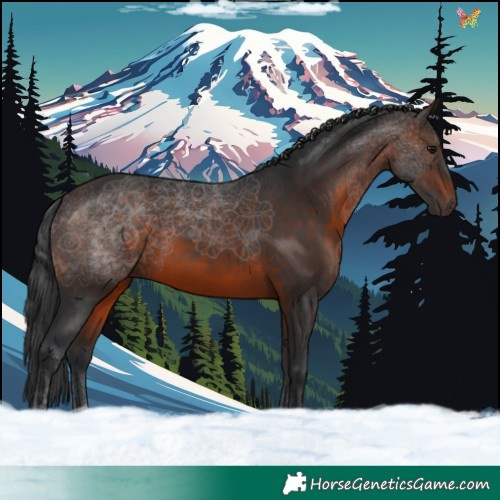 Horse Color:Brown 