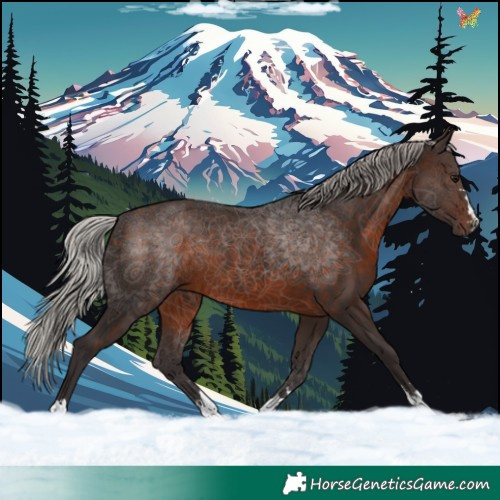 Horse Color:Silver Brown 