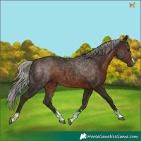 Horse Color:Silver Brown 