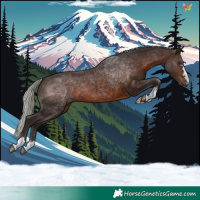 Horse Color:Silver Brown