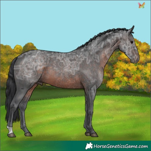 Horse Color:Brown Ice 