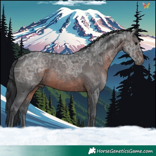 Horse Color:Brown Ice 