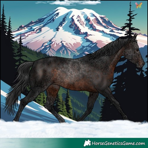 Horse Color:Brown Ice 