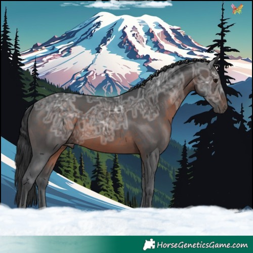Horse Color:Brown Ice 