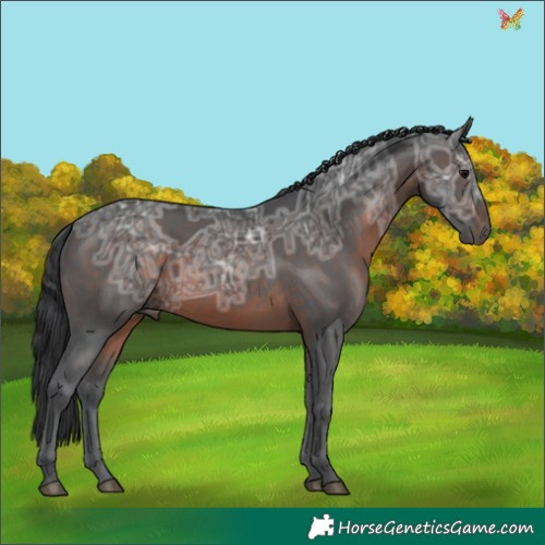 Horse Color:Brown Ice 