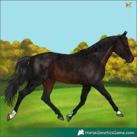 Horse Color:Brown Ice