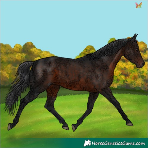 Horse Color:Brown Ice