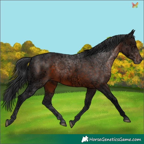 Horse Color:Brown Ice 