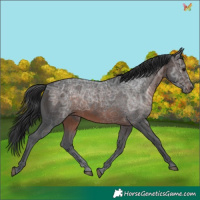 Horse Color:Brown Ice